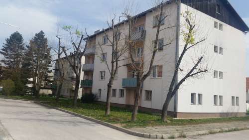 Obžagovanje drevja - Eno leto po posegu brez listja, vidni novi poganjki. Obžagovanje drevja - Eno leto po posegu brez listja, vidni novi poganjki.